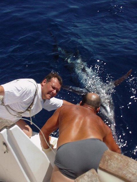27/06 blue marlin Cavalier & Blue Marlin Sport Fishing Gran Canaria