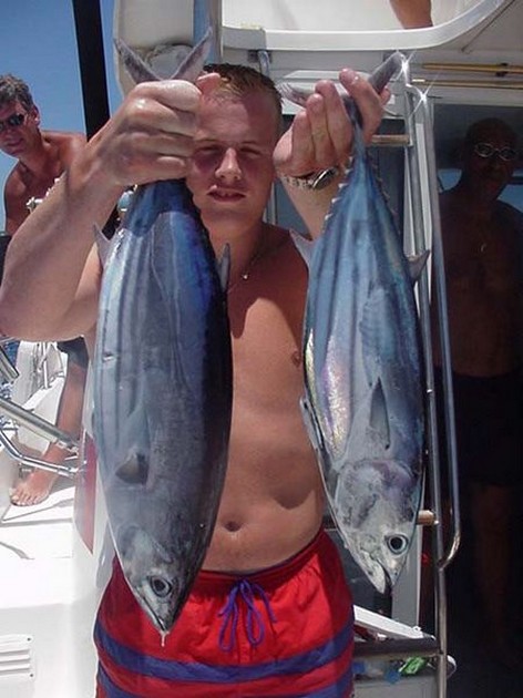 04/07 skipjack tuna Cavalier & Blue Marlin Sport Fishing Gran Canaria