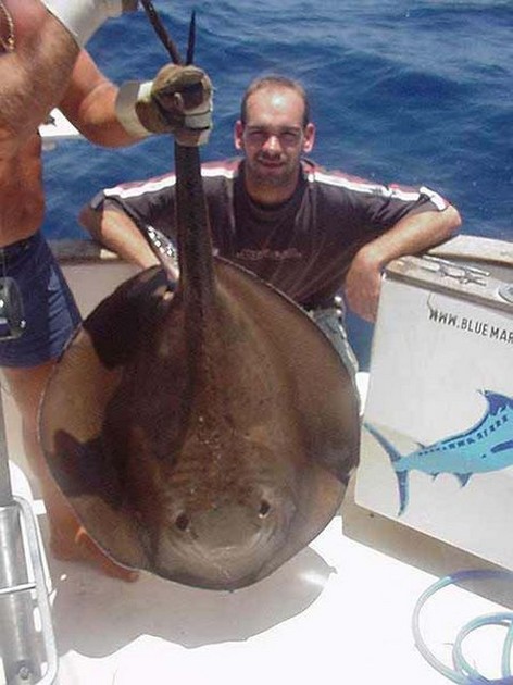 16/07 round stingray Cavalier & Blue Marlin Sport Fishing Gran Canaria