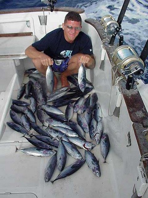 19/07 skipjack tuna Cavalier & Blue Marlin Sport Fishing Gran Canaria