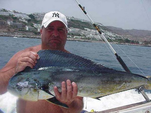20/07 dorado Cavalier & Blue Marlin Sport Fishing Gran Canaria