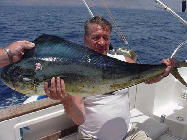 07/08 dorado Cavalier & Blue Marlin Sport Fishing Gran Canaria