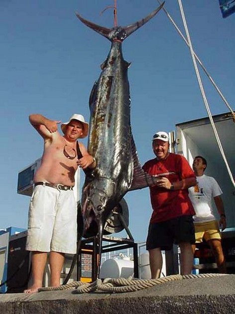 09/08 blue marlin Cavalier & Blue Marlin Sport Fishing Gran Canaria