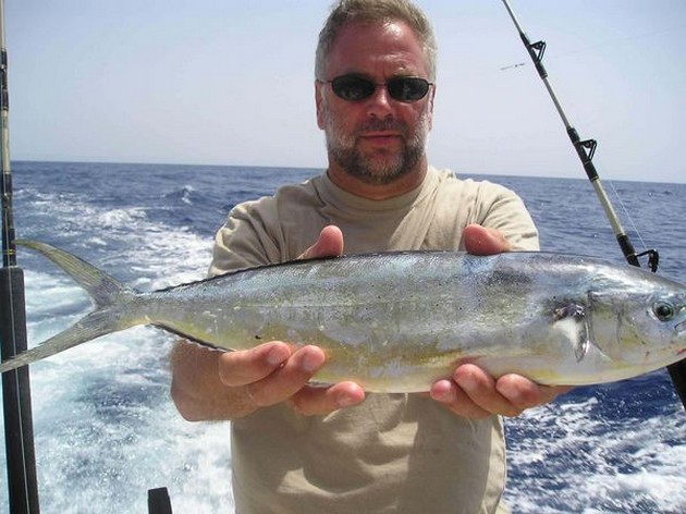 01/09 dorado Cavalier & Blue Marlin Sport Fishing Gran Canaria