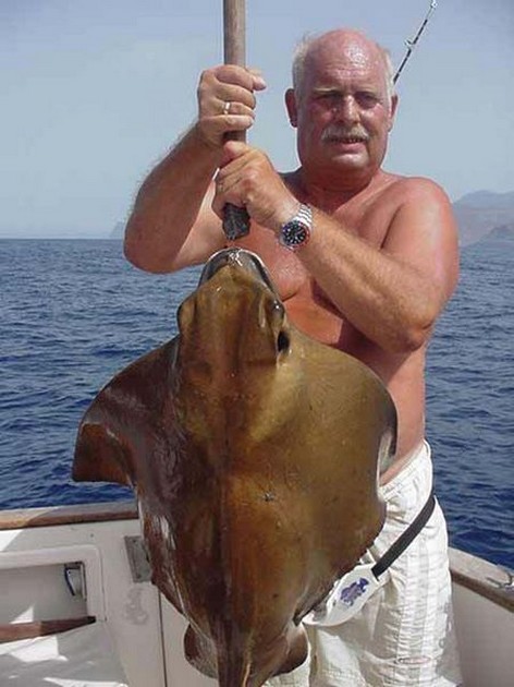 02/09 eagle ray Cavalier & Blue Marlin Sport Fishing Gran Canaria