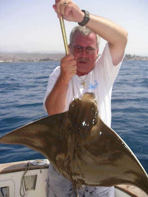 04/09 duckbill ray Cavalier & Blue Marlin Sport Fishing Gran Canaria