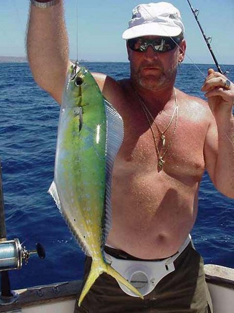 07/09 dorado Cavalier & Blue Marlin Sport Fishing Gran Canaria