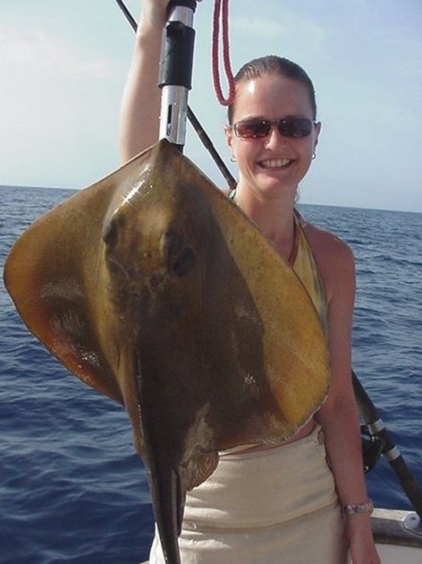 10/09 common stingray Cavalier & Blue Marlin Sport Fishing Gran Canaria