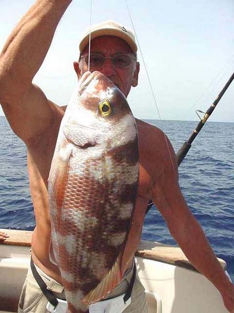 11/09 red snapper Cavalier & Blue Marlin Sport Fishing Gran Canaria