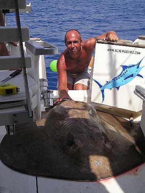 14/09 round stingray Cavalier & Blue Marlin Sport Fishing Gran Canaria