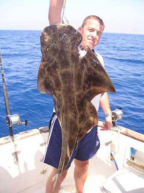 17/09 angel shark Cavalier & Blue Marlin Sport Fishing Gran Canaria