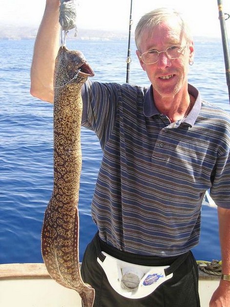 01/10 tiger moray Cavalier & Blue Marlin Sport Fishing Gran Canaria