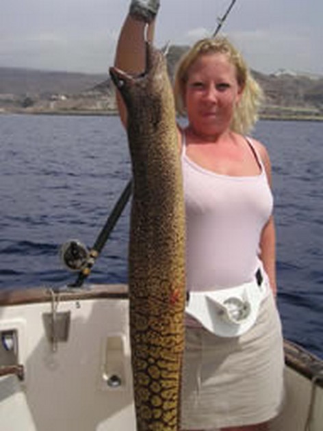 04/10 tiger moray Cavalier & Blue Marlin Sport Fishing Gran Canaria