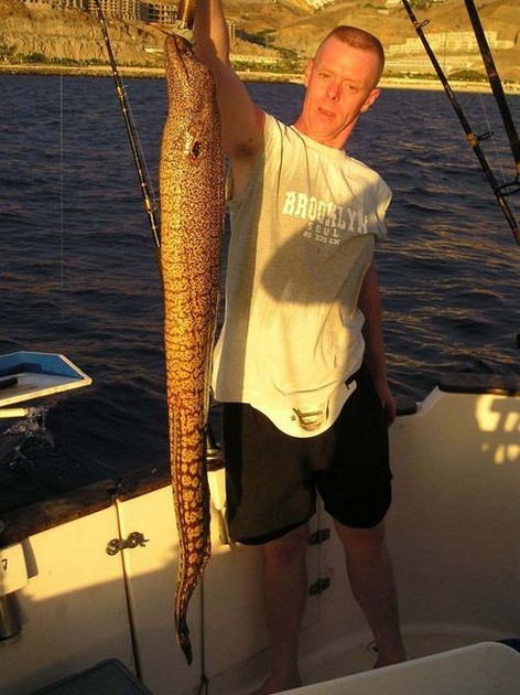 14/10 tiger moray Cavalier & Blue Marlin Sport Fishing Gran Canaria