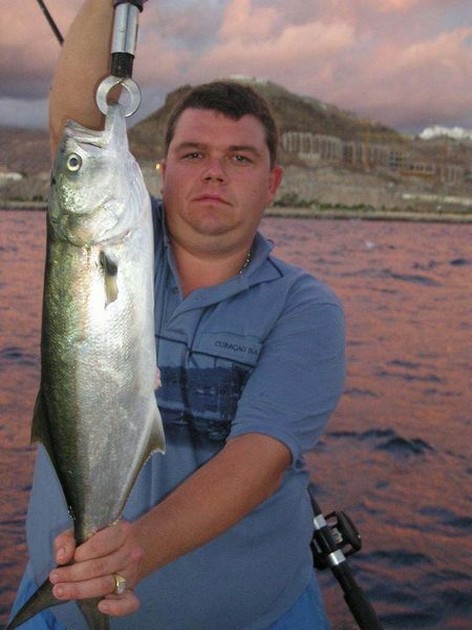 16/10 kingfish Cavalier & Blue Marlin Sport Fishing Gran Canaria