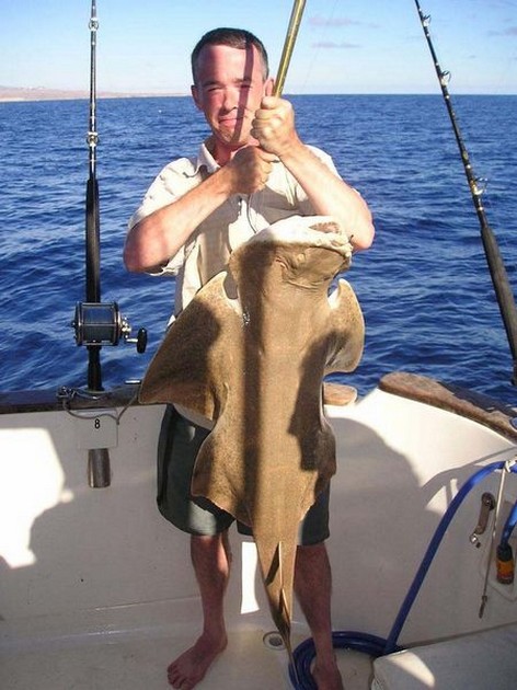 18/10 angelshark Cavalier & Blue Marlin Sport Fishing Gran Canaria
