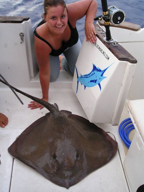 22/10 common stingray Cavalier & Blue Marlin Sport Fishing Gran Canaria