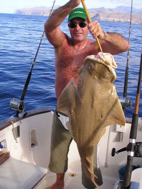 24/10 angel shark Cavalier & Blue Marlin Sport Fishing Gran Canaria