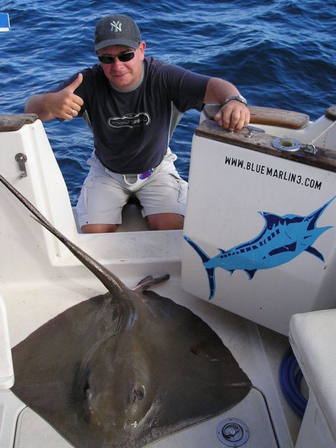 26/10 common stingray Cavalier & Blue Marlin Sport Fishing Gran Canaria