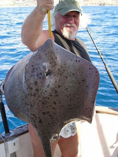 29/10 roughtail stingray Cavalier & Blue Marlin Sport Fishing Gran Canaria