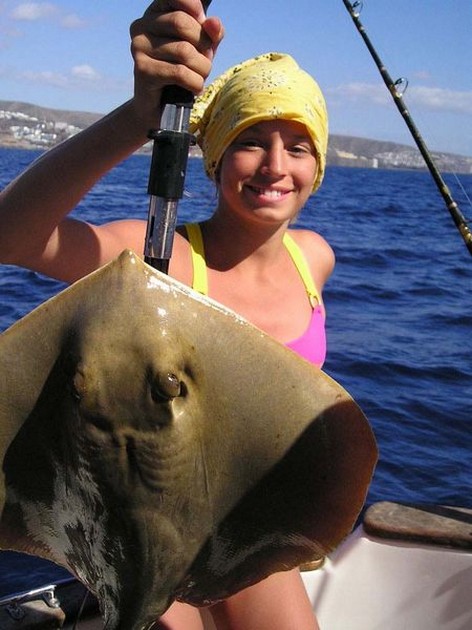 30/10 common stingray Cavalier & Blue Marlin Sport Fishing Gran Canaria