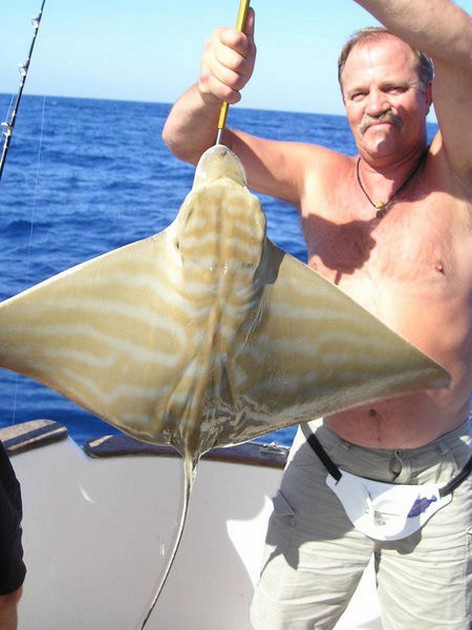 04/11 duckbill ray Cavalier & Blue Marlin Sport Fishing Gran Canaria