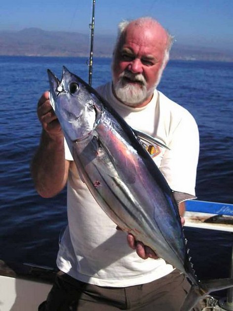 05/11 skipjack tuna Cavalier & Blue Marlin Sport Fishing Gran Canaria