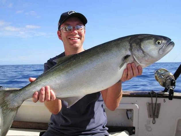 09/11 kingfish Cavalier & Blue Marlin Sport Fishing Gran Canaria