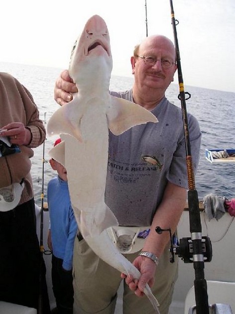 08/01 smoothhound Cavalier & Blue Marlin Sport Fishing Gran Canaria