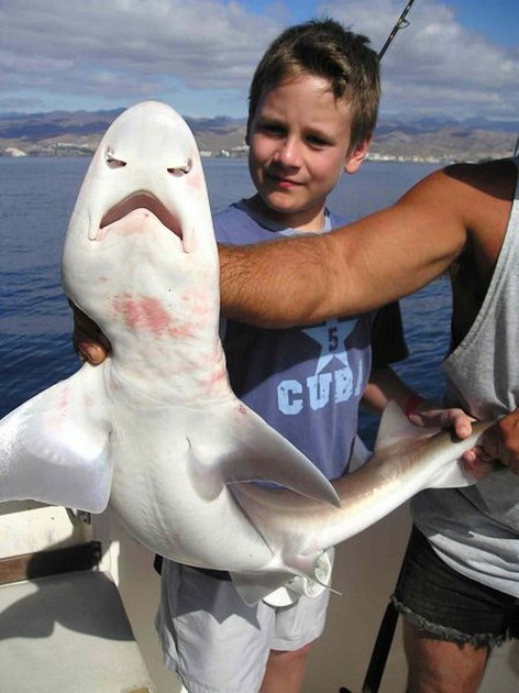 27/01 tope Cavalier & Blue Marlin Sport Fishing Gran Canaria