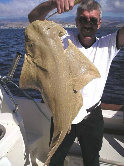 29/01 angelshark Cavalier & Blue Marlin Sport Fishing Gran Canaria