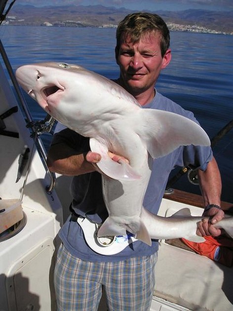 30/01 tope Cavalier & Blue Marlin Sport Fishing Gran Canaria