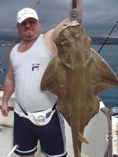 31/01 angelshark Cavalier & Blue Marlin Sport Fishing Gran Canaria