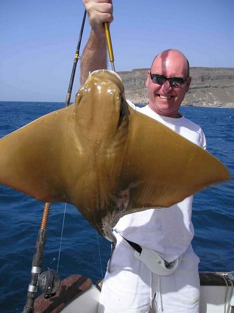 03/02 cownose ray Cavalier & Blue Marlin Sport Fishing Gran Canaria