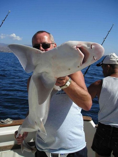 10/02 tope Cavalier & Blue Marlin Sport Fishing Gran Canaria