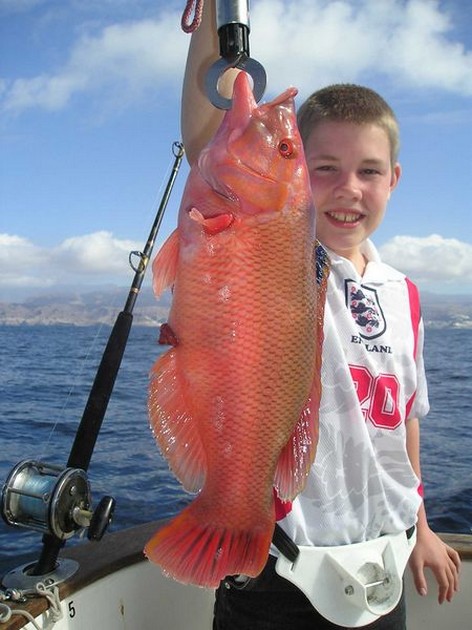 23/02 red hogfish Cavalier & Blue Marlin Sport Fishing Gran Canaria