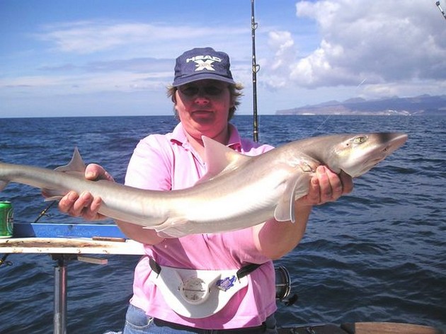 26/02 smoothhound Cavalier & Blue Marlin Sport Fishing Gran Canaria