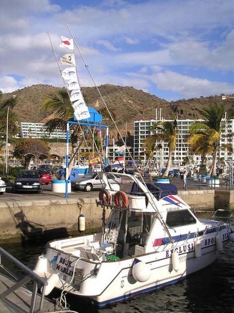 29/02 hooked up Cavalier & Blue Marlin Sport Fishing Gran Canaria