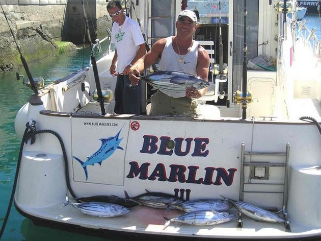 01/03 skipjack tuna Cavalier & Blue Marlin Sport Fishing Gran Canaria