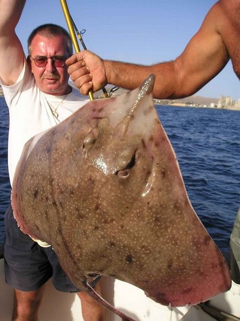 26/03 blonde ray Cavalier & Blue Marlin Sport Fishing Gran Canaria