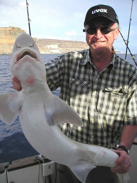 31/03 tope Cavalier & Blue Marlin Sport Fishing Gran Canaria