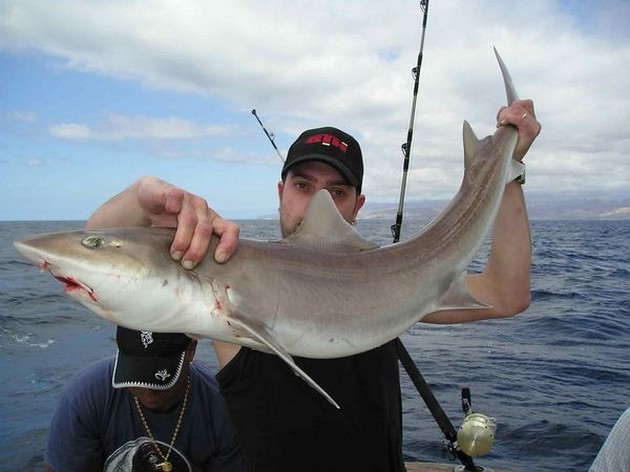 02/04 tope Cavalier & Blue Marlin Sport Fishing Gran Canaria