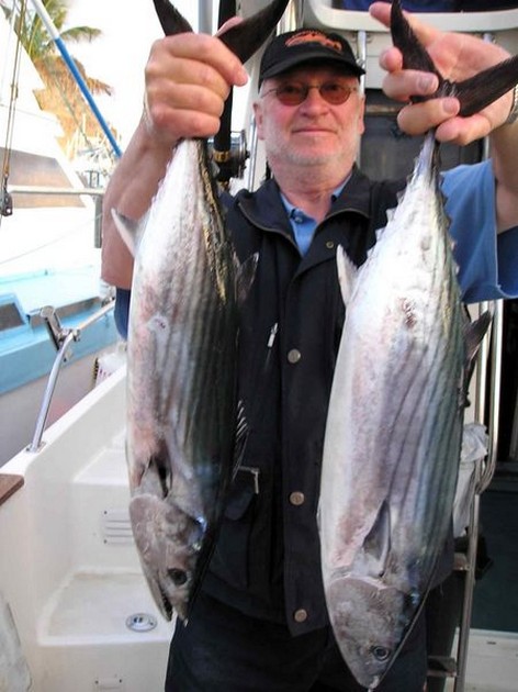 15/04 skipjack tuna Cavalier & Blue Marlin Sport Fishing Gran Canaria