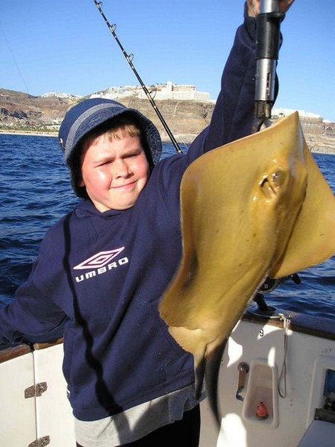 22/04 common stingray Cavalier & Blue Marlin Sport Fishing Gran Canaria
