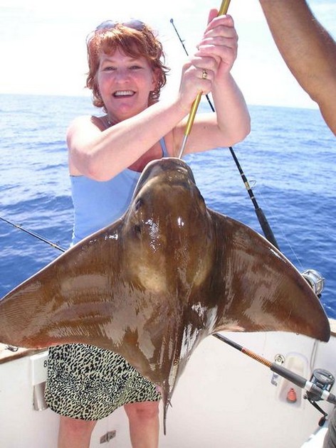 24/04 eagle ray Cavalier & Blue Marlin Sport Fishing Gran Canaria