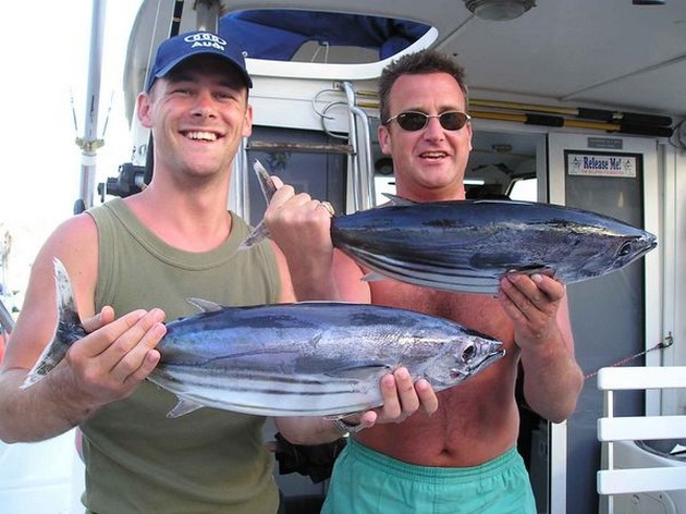 02/05 skipjack tuna Cavalier & Blue Marlin Sport Fishing Gran Canaria