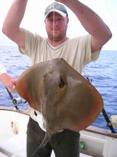 21/05 common stingray Cavalier & Blue Marlin Sport Fishing Gran Canaria