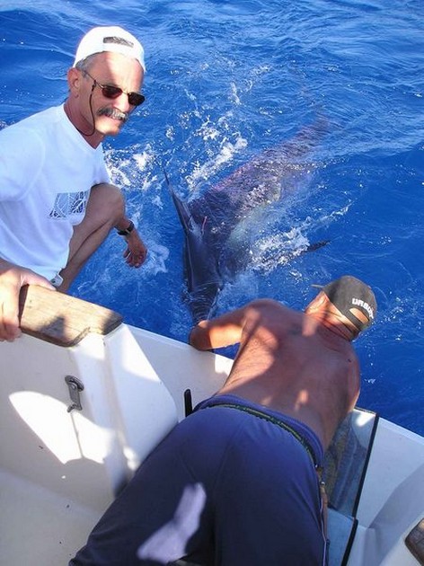 26/05 blue marlin Cavalier & Blue Marlin Sport Fishing Gran Canaria