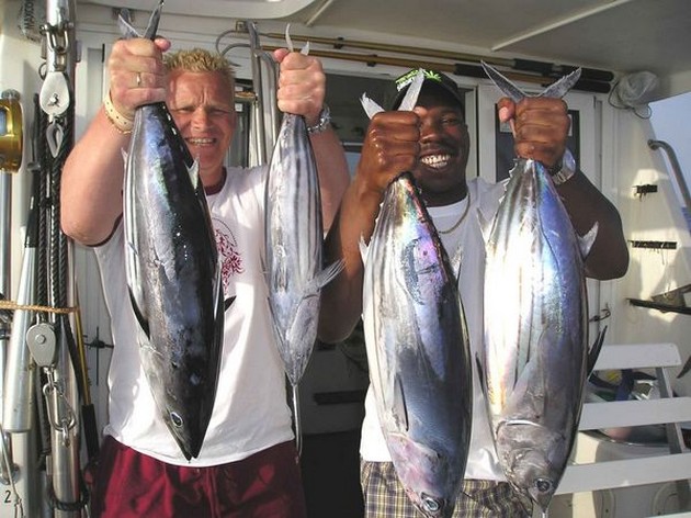 28/05 skipjack tuna Cavalier & Blue Marlin Sport Fishing Gran Canaria