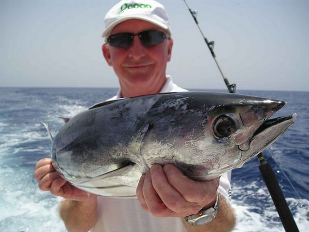 29/05 skipjack tuna Cavalier & Blue Marlin Sport Fishing Gran Canaria